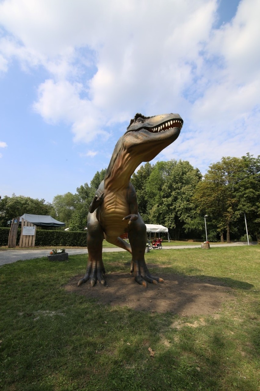 Park dinozaurów Siemianowice: Ciężkie jest życie dinozaura...