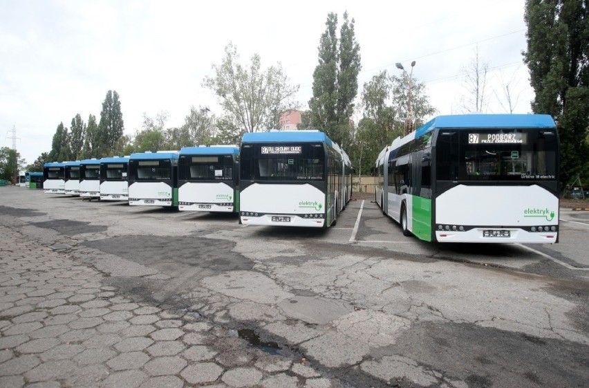 Na ile lat starczą baterie w szczecińskich e-autobusach? Mamy odpowiedź rzecznika Zarządu Dróg i Transportu Miejskiego