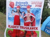 Truskawkobranie 2013. Władcy Truskawek [ZDJĘCIA CZ. 3]