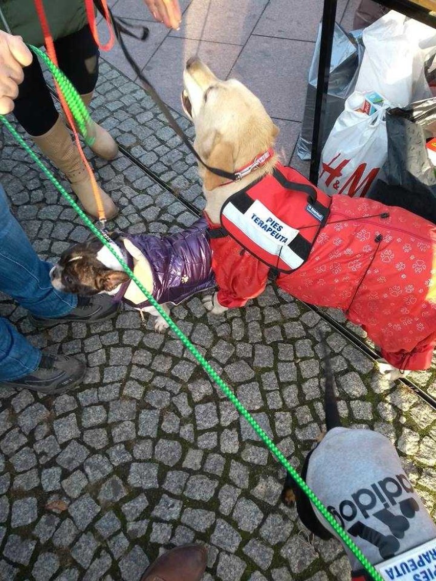 Malbork. "I Ty możesz zostać św. Mikołajem" w sobotę na placu Jagiellończyka