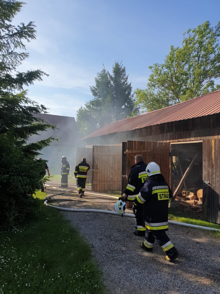 Akcje strażaków - pożar lasu w Ludwikowie i drewnianego budynku w Starych Polaszkach [ZDJĘCIA]