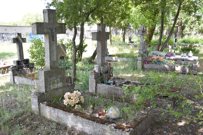 Piła. Stary cmentarz przy al. Powstańców Wlkp. w dużej części jest zaniedbany. Zobaczcie zdjęcia