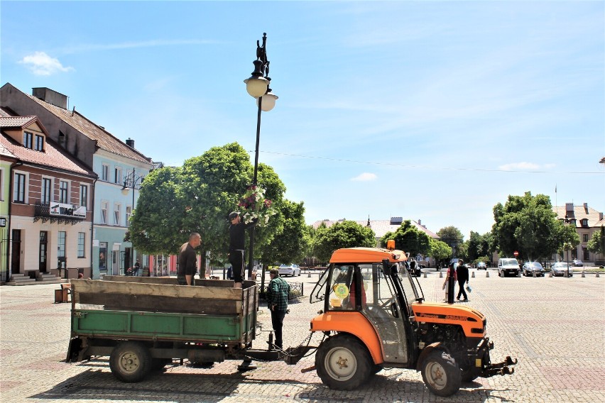 Kwiaty udekorowały plac Tadeusza Kościuszki w Łęczycy