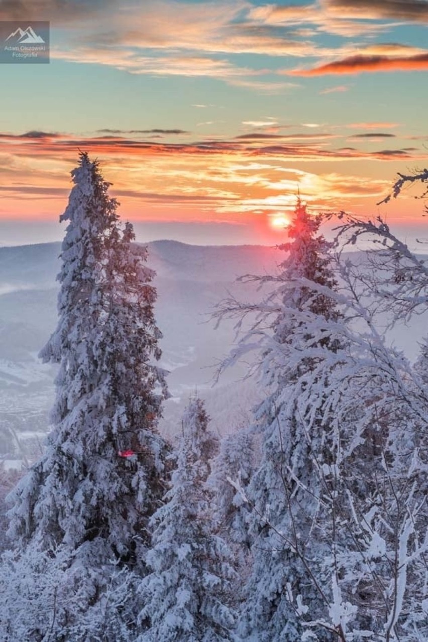 Dzięki zdjęciom krynickiego fotografa można podziwiać...