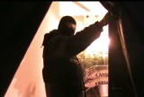 W Gdyni Policja Zlikwidowała Plantację Marihuany [Wideo]