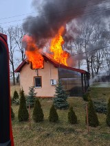 Pożar domu jednorodzinnego w gminie Zadzim (zdjęcia)