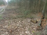 Gmina Miedzichowo: POMOST prowadził prace poszukiwawcze w okolicach Bolewic. Szukano grobów dwóch rozstrzelanych żołnierzy! 