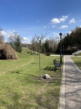 Gniezno. W Dolinie Pojednania powstanie nowy plac zabaw. Będą też nowe rośliny