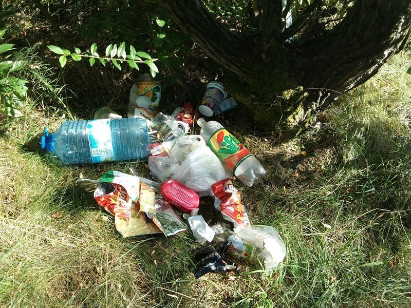 Życie po śmieciach: Śmieci nad Zalewem Sosina w Jaworznie [ZDJĘCIA]