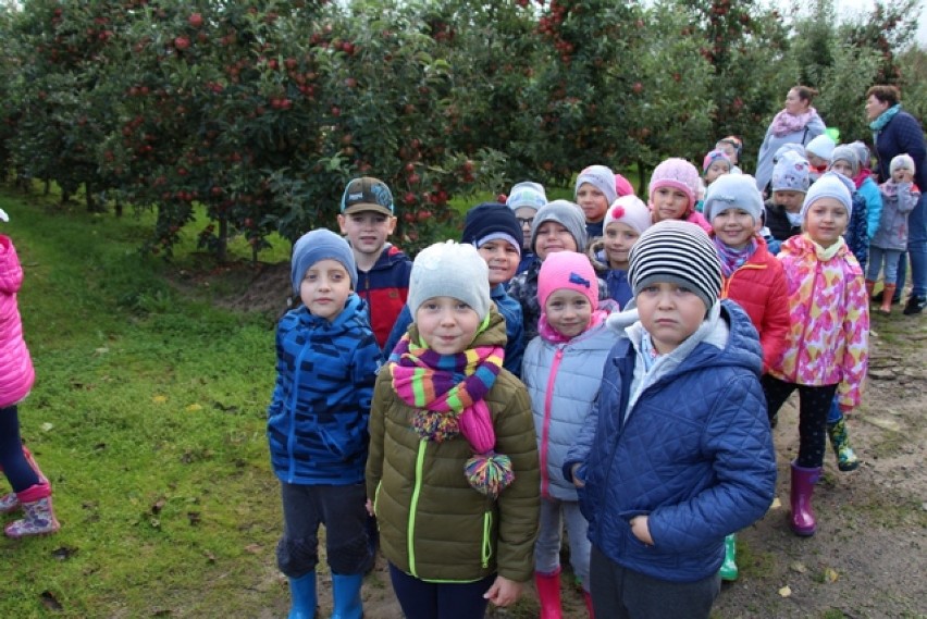 Przedszkolaki z Chodzieży odwiedzili sad w Białośliwiu. Co w nim robili?