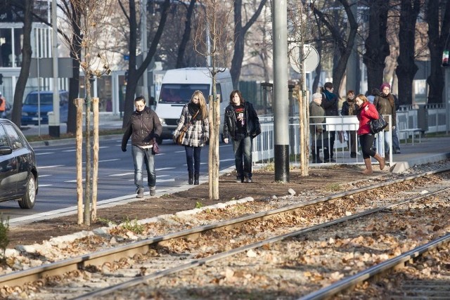 W lipcu zmieniło się położenie przystanku - teraz, żeby dojść do urzędu pracy, musimy cofnąć się do skrzyżowania z ul. Radosną, dopiero tam możemy przejść przez pasy - w ten sposób tracimy jednak pięć minut. Piesi wybierają więc inne rozwiązanie - narażając życie skracają sobie drogę wąskim pasem zieleni przy przystanku. Niedawno pojawiły się na nim drzewa, które dodatkowo utrudniają przejście.