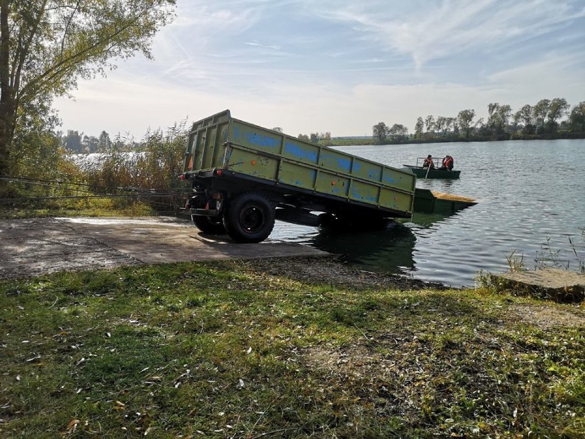 Gmina Kruszwica - W Złotowie ciągnik zsunął się do jeziora Gopło. Zobacz zdjęcia