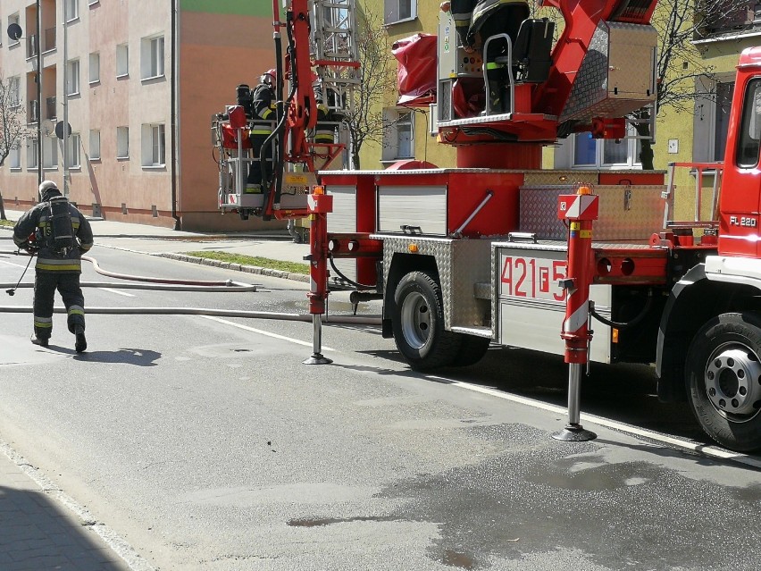 Strażacy oddymili mieszkania, ewakuowali kobietę i dwa koty