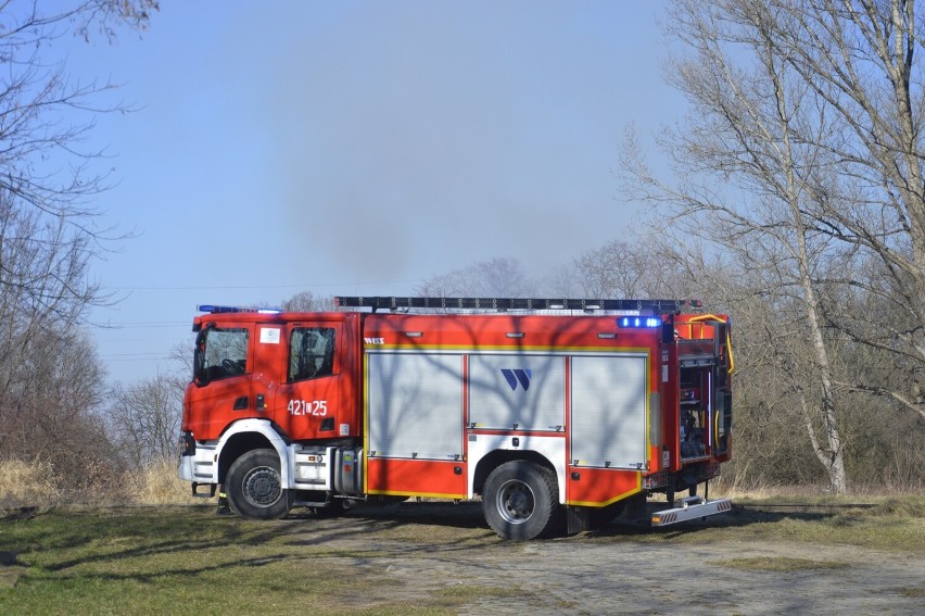 Pożar obok Barbakanu w Głogowie. Strażacy w akcji. ZDJĘCIA