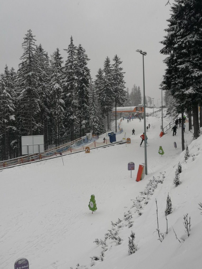 W Karkonoszach mnóstwo śniegu i fanów sportów zimowych [ZDJĘCIA]