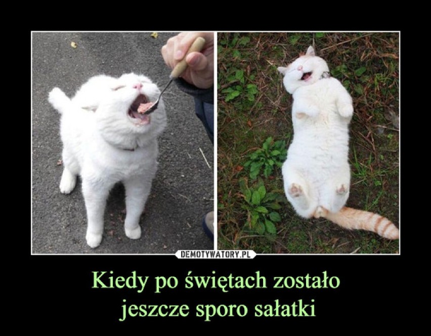 Święta, święta i po świętach. Co memy mówią o tym poświątecznym czasie? Kto ma podobnie?