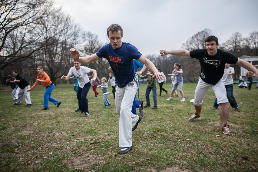 Darmowe treningi capoeiry w parkach w Łodzi