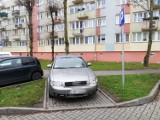 Inowrocław. Mistrzowie parkowania w Inowrocławiu! Kolejne interwencje Straży Miejskiej Inowrocław. Zobaczcie zdjęcia