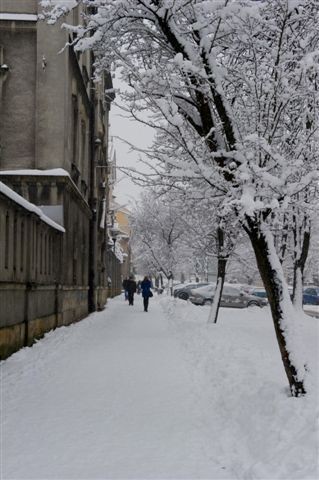 Tarnów: a śnieg sypie, sypie i sypie... [ZDJĘCIA]