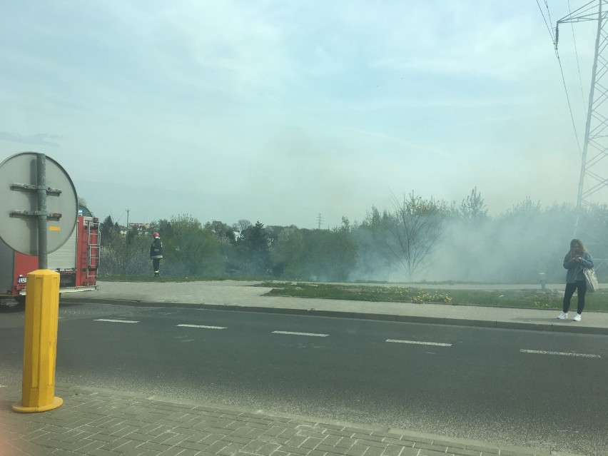 Wypalanie traw przy ul. Jana Pawła II
