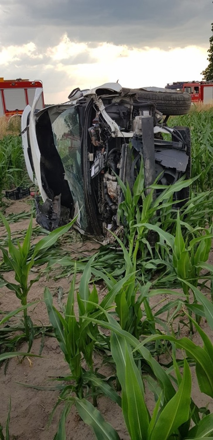 Auto wypadło z drogi na trasie Wioska-Rakoniewice. 18-letni kierowca trafił do szpitala [ZDJĘCIA]