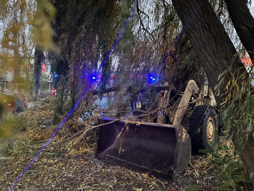 19 zdarzeń to przede wszystkim połamane drzewa.