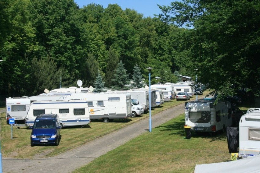 Malbork. Camping nr 197 na trzecim miejscu w ogólnopolskim konkursie "Mister Camping 2021". To doskonała rekomendacja dla turystów