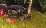 Wypadek w Petrynowie koło Żelechlinka. Trzy osoby uwięzione w samochodzie [ZDJĘCIA]