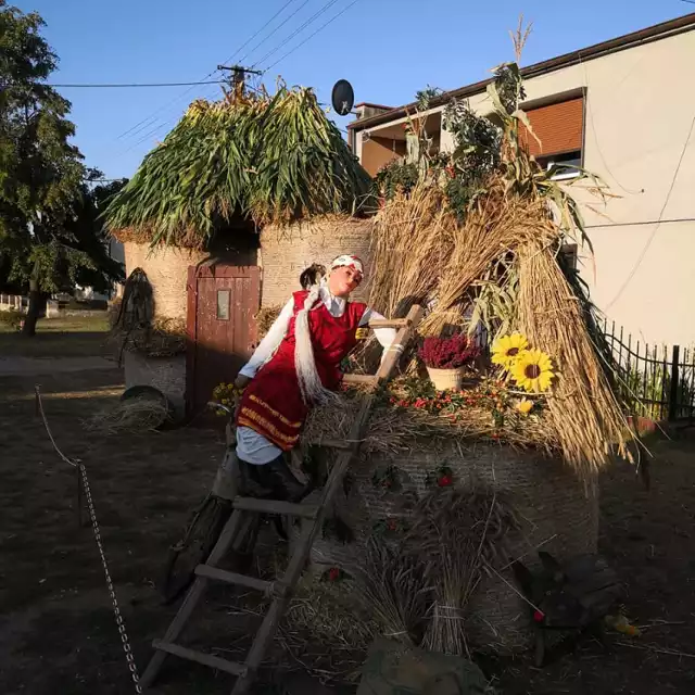 Motywem przewodnim tegorocznych dekoracji był film "Sami Swoi". Kolejna dekoracja przedstawia panią na kolorowym rowerze z napisem " Dożynki!!! Już pędzę"