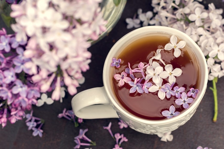 Herbata z kwiatów bzu lilaka działa napotnie,...