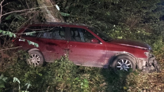 W połowie drogi między Goruńskiem i Bledzewem osobowy peugeot uderzył w dzika, który raptem wybiegł z lasu prosto pod maskę jadącego pojazdu. Zwierzak uciekł, a kierowca wysiadł z samochodu, aby oceni uszkodzenia i pozbierać leżące na jezdni części samochodu. Miał podwójnego pecha. Kiedy zbierał akcesoria z drogi, w jego peugeota uderzyła  mazda.  Uderzony samochód potrącił mężczyzną i wpadł do przydrożnego rowu, gdzie zatrzymał się na drzewie.