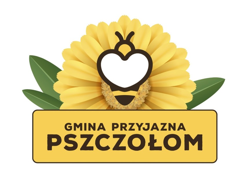 Boruja: Sukces wsi w pozyskaniu środków na ratowanie pszczół