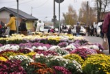 Przy Cmentarzu Komunalnym duże zainteresowanie miejscami na sprzedaż kwiatów i zniczy na Wszystkich Świętych. Padł nowy rekord cenowy