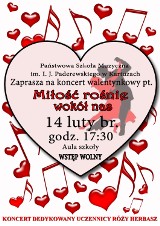 Koncert Walentynkowy dla Róży - w kartuskiej szkole muzycznej 14 lutego o godz. 17.30