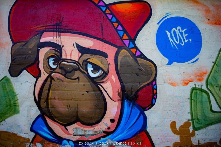 Street art w Pile. Te graffiti i murale zachwycają! [ZOBACZ ZDJĘCIA]
