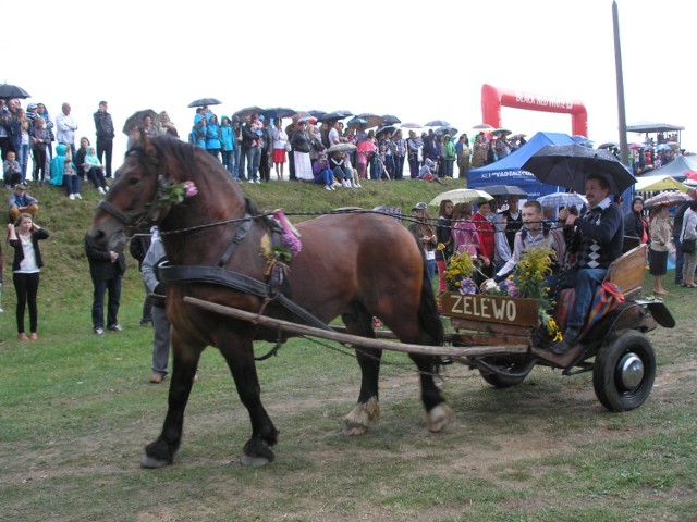 Dożynki w Luzinie 2014