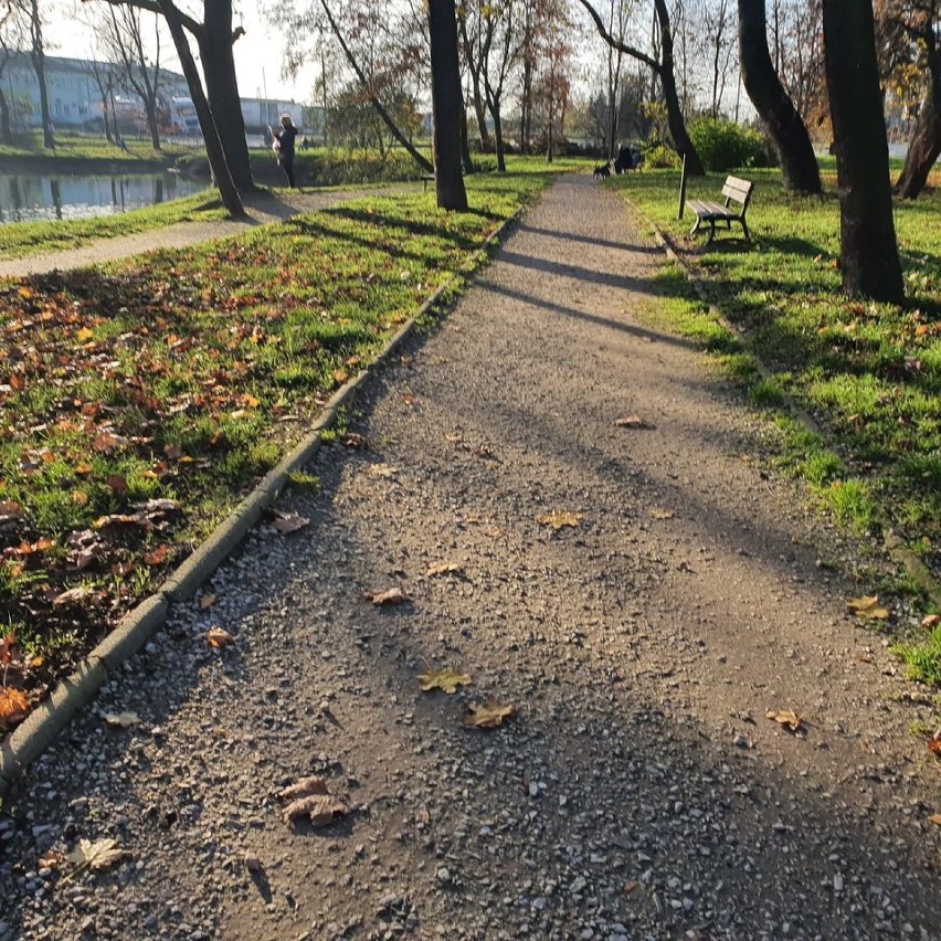 Rewitalizacja parku Belzackiego w Piotrkowie: trwa przetarg...