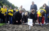 Pola Nadziei 2013 w Gdyni. Uroczystości z okazji 25-lecia istnienia Hospicjum im. św. Wawrzyńca