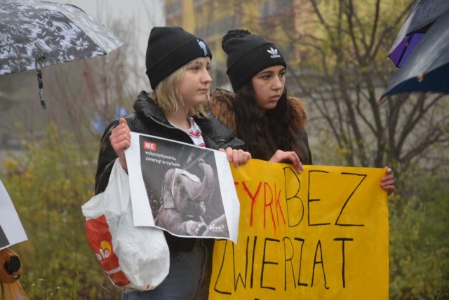 Tylko zmiana ustawy o ochronie zwierząt przez rząd mogłaby spełnić postulaty protestujących