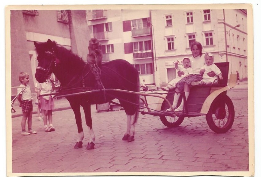 Archiwum Dagmary Małgorzaty Kosiedowskiej. Dzieciństwo w...