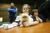 Wystawa zwierząt domowych w Legnicy już w niedzielę