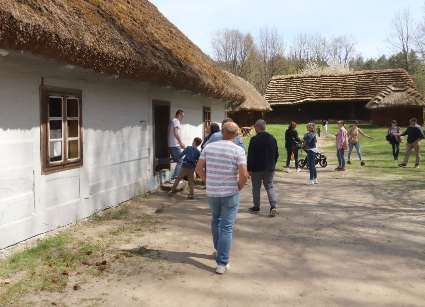 "Bryczką po Mazowszu" w Muzeum Wsi Radomskiej. Tłumy spacerowiczów w skansenie na festynie. Zobaczcie zdjęcia