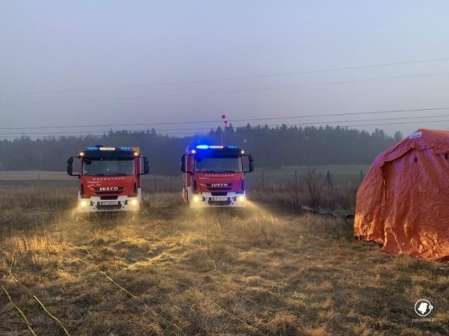 Na miejsce przyjechały m.in. grupy ratownictwa chemicznego Państwowej Straży Pożarnej z Opola i Kędzierzyna-Koźla, wojewódzki inspektor ochrony środowiska, a także władze Niemodlina.