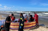 Udana akcja ratunkowa na Wyspie Sobieszewskiej. Kobieta topiła się i konieczna była reanimacja. Na plaży musiał lądować śmigłowiec LPR