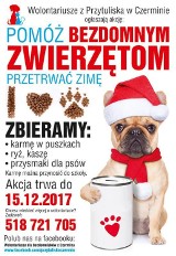 Pomóżmy bezdomnym zwierzętom z gminy Czermin przetrwać zimę