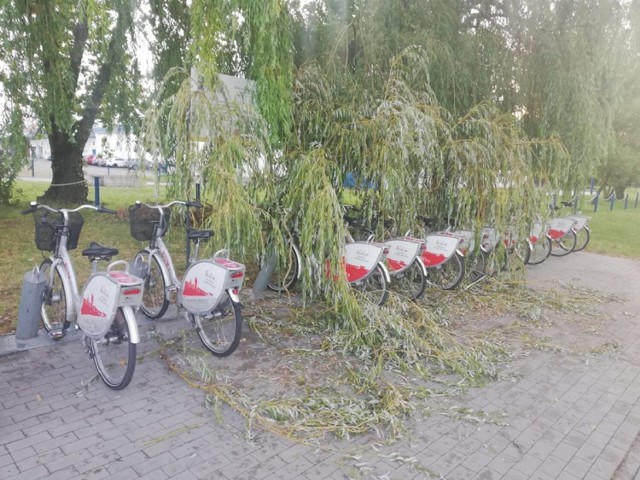 Gałęzie wierzby przygniotły stację rowerów miejskich w Koninie