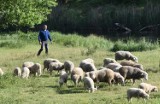 Śrem. Korzystając z uroków przyrody pamiętajmy o zdrowym rozsądku, albo posypią się mandaty