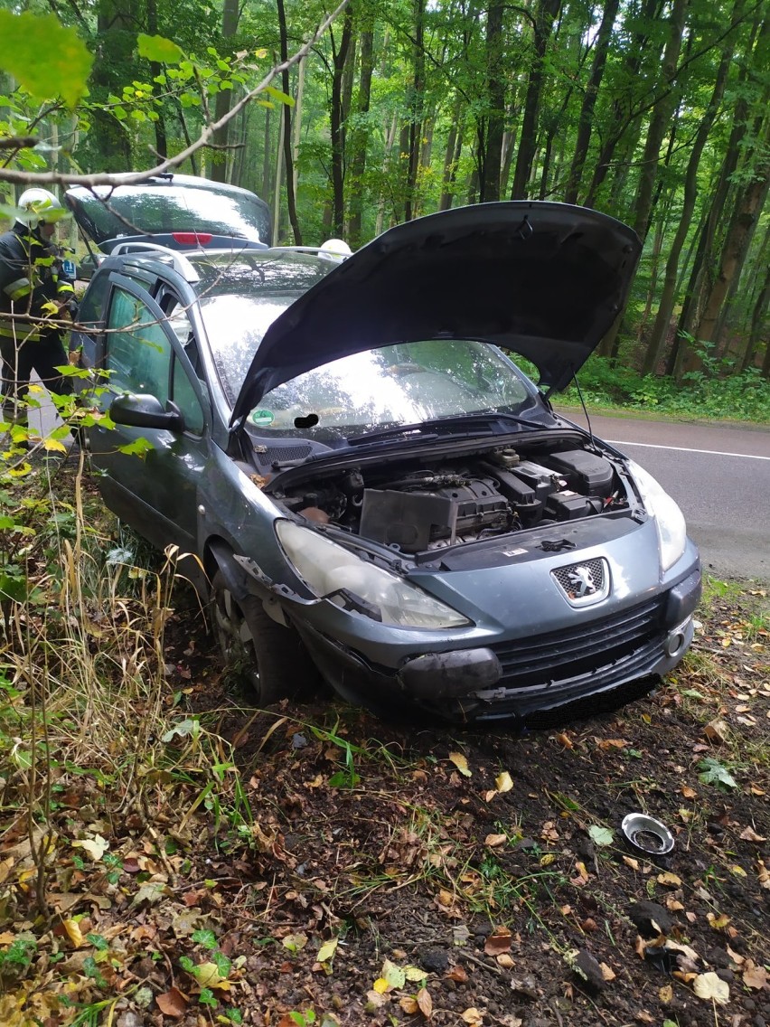 Gmina Przywidz. Wypadek na DW 221 pomiędzy Jodłownem a Czapielskiem - zderzenie dwóch samochodów |ZDJĘCIA 