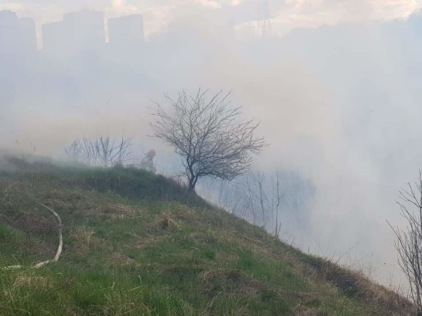 Duży pożar traw pod Strzemięcinem w Grudziądzu. W akcji sześć zastępów straży pożarnej