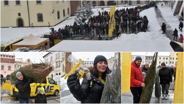 Na tarnowskim Rynku w poniedziałek (12 grudnia) rozdano 500 choinek od radia RMF FM. Ludzie czekali po darmowe drzewka w długiej kolejce